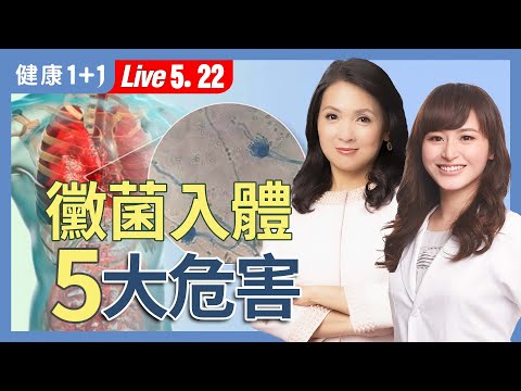 看不好的病竟是黴菌搞鬼？黴菌毒素入侵日常，身體在慢性中毒？【營養師 賀菡懿｜健康1+1 JoJo】（2025.5.22）｜健康1+1 ·直播