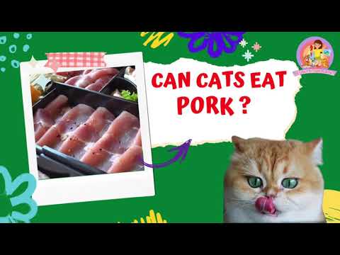 Should You Be Feeding Pork to Your Cat? Pros and Cons of Pork as a Cat Food #cats