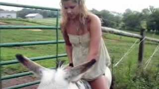 The Good Stuff (Kenny Chesney)