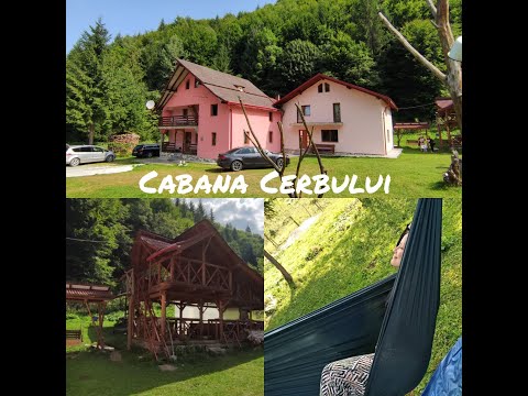 La Cabana Cerbului ( Moisei) - Un loc minunat in natura😌☘️🏞️