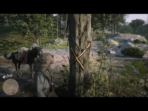 Red Dead Redemption 2 Elysian Pool Treasure Location - RDR2 Elysian Pool Schatz Fundort