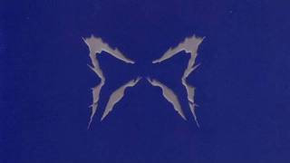 The Butterfly Effect - Perception Twin