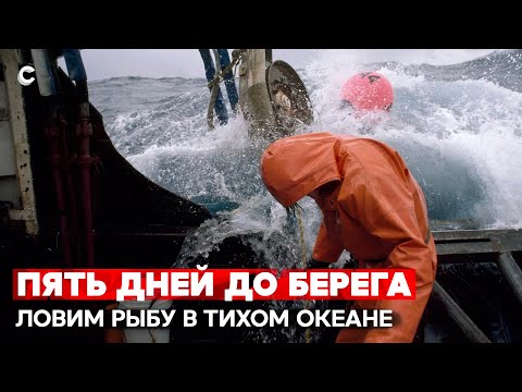  
            
            Моряки и священнослужитель о своей работе: трудности, вера и любовь к морскому делу

            
        