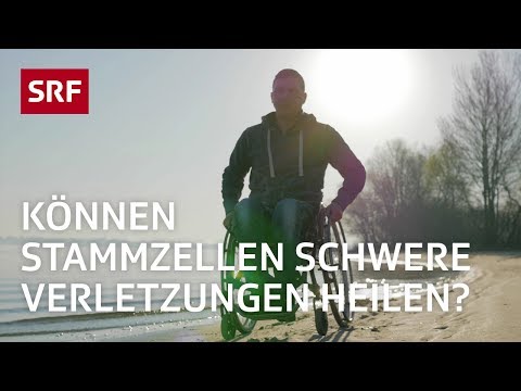 Stammzellen: Ein Wundermittel der Medizin? | Erklärvideo | SRF
