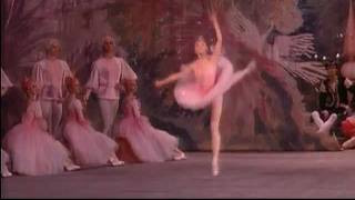 Dance of Sugar Plum Fairy