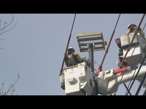 A closer look at relocating osprey nests in Maine