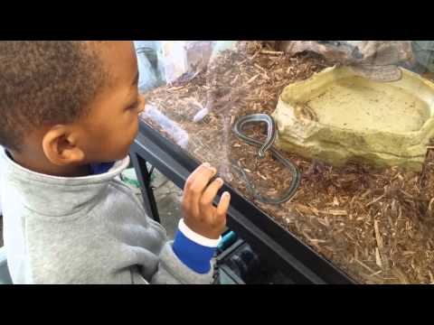 Jamarion Scaring the Little Snake