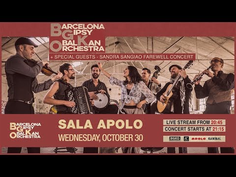 Barcelona gipsy balkan orchestra live in apolo 2019 sandra sangiao last concert