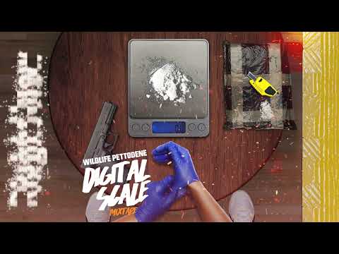 Wildlife Pettodene - Right Now (Digital Scale Mixtape)