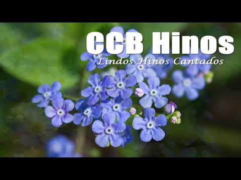CCB Hinos Cantados 252, 25, 289, 401, 279, 260, 292, 232, 13, 76, 374, 260, 04
