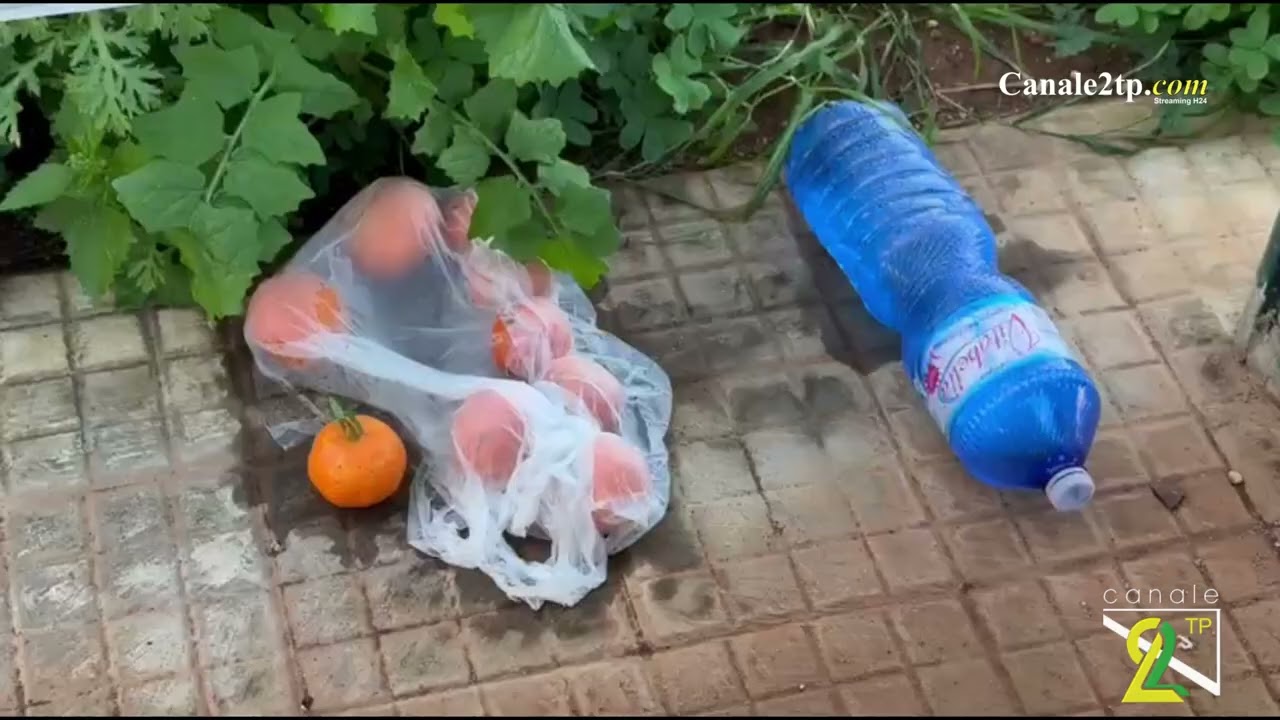 Carta, bottiglie, sacchetti abbandonati e altri scarti nel parcheggio dell'ospedale di Marsala