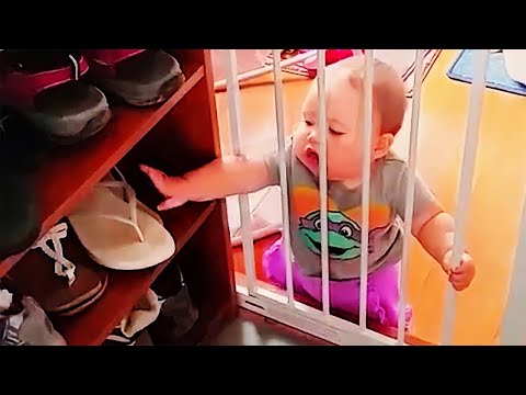 Funny Naughty Sneaky Babies Steal - FUNNY BABY