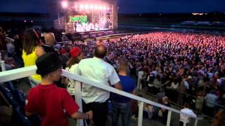 Madness Fallen for a Lamppost