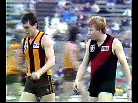 1988 Rnd 18   Hawthorn v Essendon