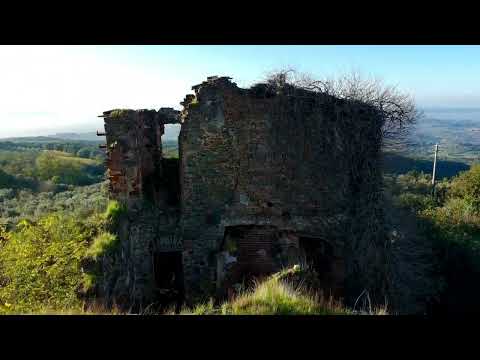 Historic Organic Wine & Olive Estate with Boutique Hotel Project – Tuscany, Italy