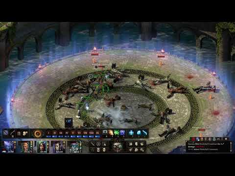 Pillars Of Eternity II: Deadfire - Pool Of Memories Arena / The Animancer's Folly Endurance Trial
