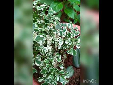 My wrong 😎😎😎😎😎