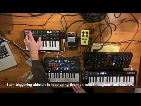 Live Looping with Ableton [Arturia Microfreak + Behringer Model D]