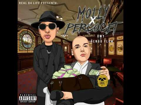 Ñengo Flow Ft. Owy - Molly Con Percocet (Audio Official)