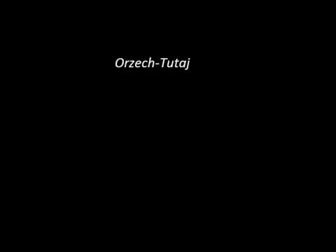 Orzech - Tutaj