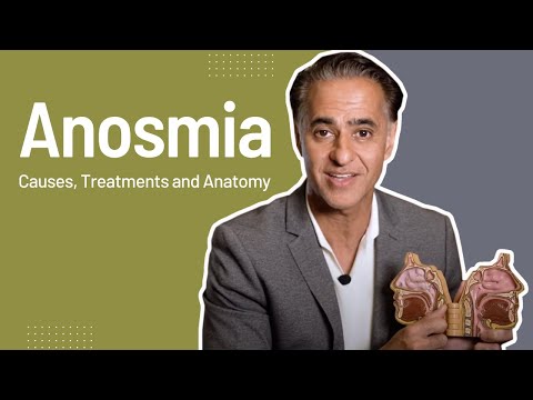 Anosmia and Loss of Smell: Causes, Treatments and Nose Anatomy