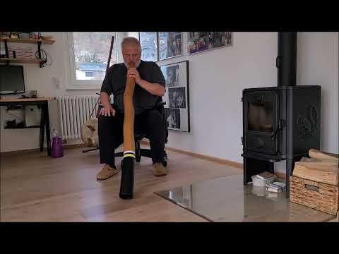 Didgeridoo Waltz Walzer in D