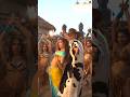 Bts Bolt Besos Jacqueline Fernandez Shikhar Dhawan Shreya Ghoshal Jacquelinefernandez