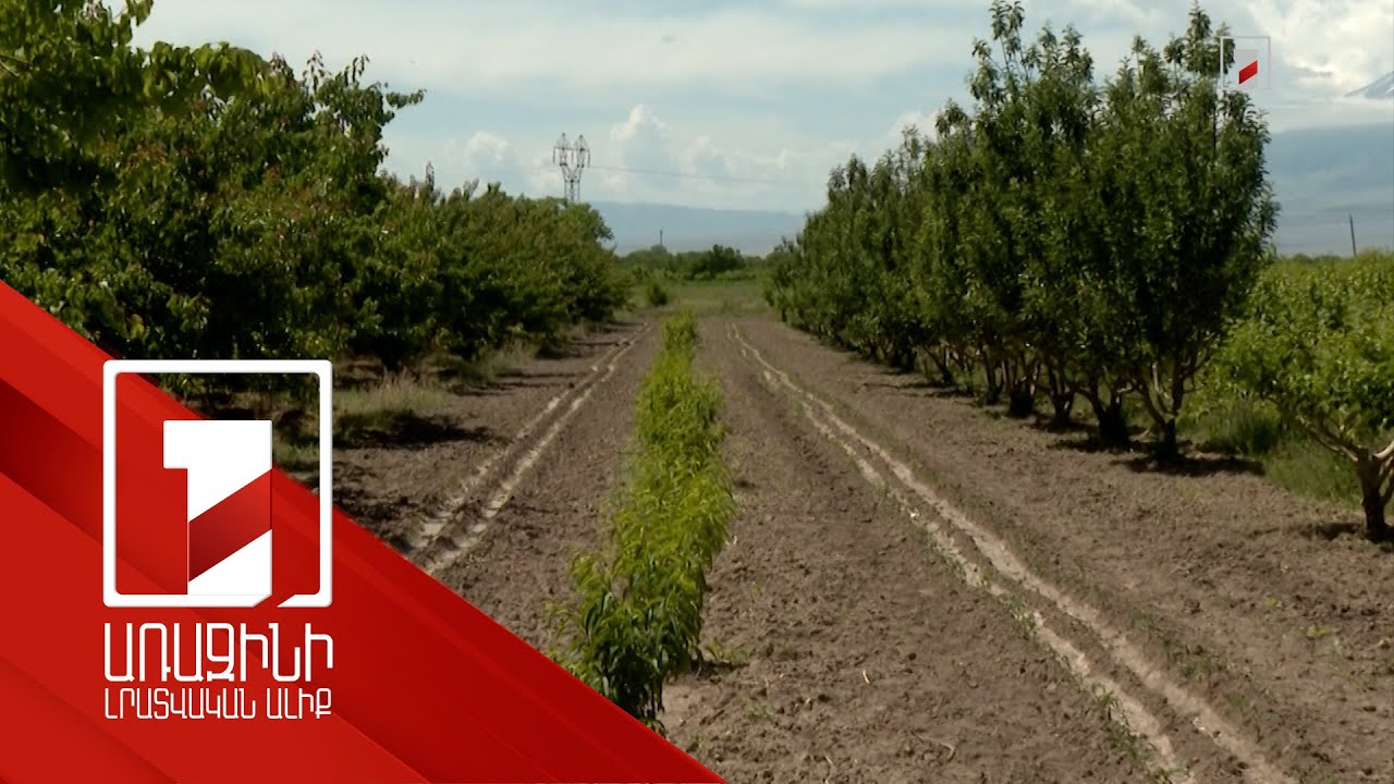 Հողերի միավորման աջակցության ծրագիր. պետությունը նոր պայմաններ է առաջարկում