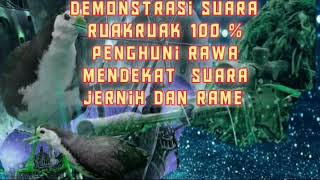 Download lagu Suara ruak-ruak rame cocok buat pikat suara jernih banget mp3