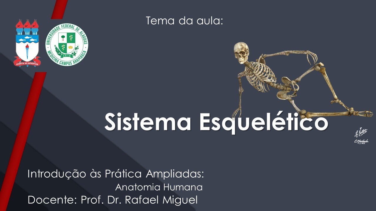 Osteologia