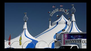 Under the Big Top