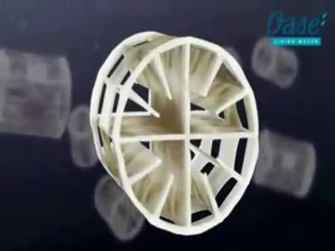 Watch Video on YouTube