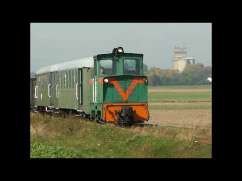 Rogowska K D  Impreza 2007