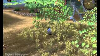 Warhammer Online Warhammer Online  Age of Reckoning PvE Gameplay
