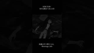 - 8/30 21:00〜 新曲告知⑥ #anime #musicvideo #TORicago