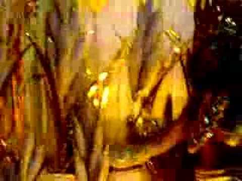 Carnaval 2005 Rio de Janeiro