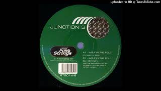 Junction 3 - Wolf In The Fold (DJ Honk Mix)