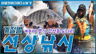 계절별 맛있는 생선 낚는 선상낚시 소개합니다 #도다리 #농어 #열기 #감성돔 #손맛도 최고 #맛도 최고