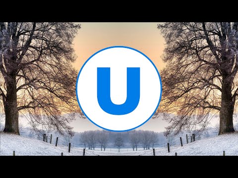 Trance | Syntheticsax and Dream Travel - Leaves In Winter | Umusic Records Release