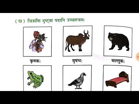 शब्द परिचय chapter 1 Sanskrit class 6th full explanation of exercise