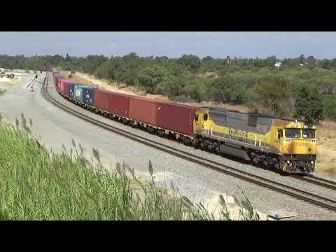 GML10 on 7145 ILS Wattle Grove