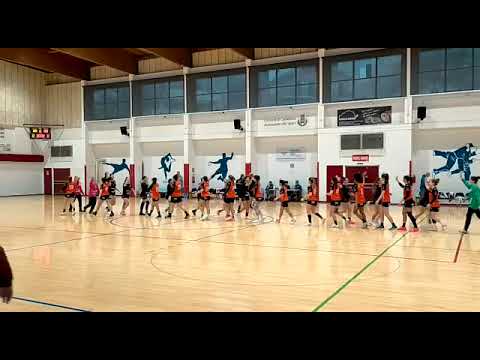 Serie A2 femminile Camerano - Pallamano Chiaravalle