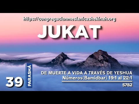 Parasha #39 JUKAT