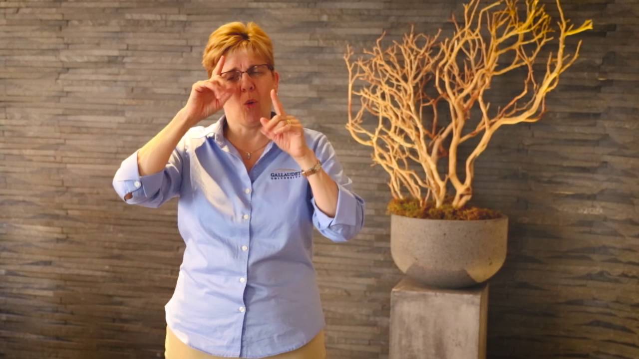 Chief Diversity Officer (CDO) Search Update