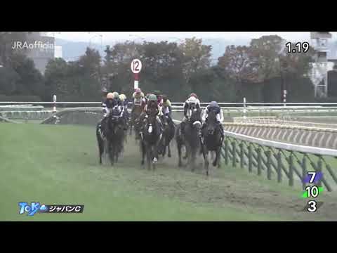 ジャパンカップ　2019.11.24