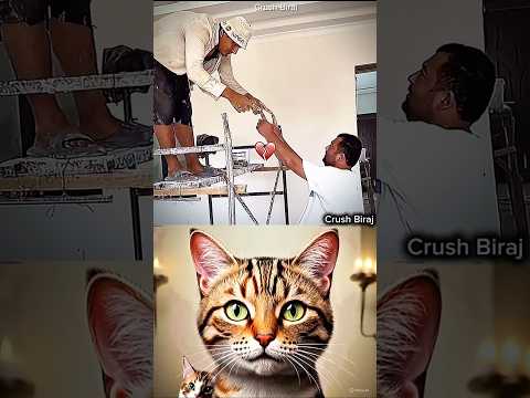 Can you do this 🤣#cat #funny #dance #shorts