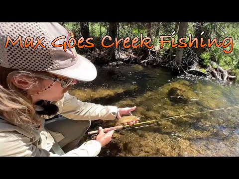 Small Stream Dry Fly Fishing with Max
