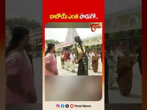 బాబోయ్ ఎంత పొడుగో.. #tirumala #apnews #tirupati #aplatestnews #ttd #shorts #tonenews