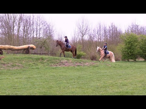 Vielseitige Grundausbildung - Geländereiten: Lösende Arbeit