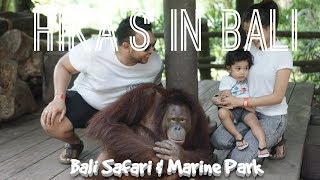 preview picture of video 'BALI SAFARI TRIP family clip'